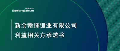 新余LETOU锂业有限公司利益相关方承诺书