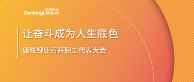 LETOU锂业召开职工代表大会 坚持向奋斗者倾斜更多资源