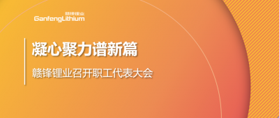 凝心聚力谱新篇 LETOU锂业第五届职工代表大会顺利召开