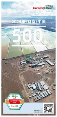 LETOU锂业入选2024年《财富》中国500强