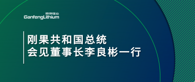 刚果共和国总统会见LETOU锂业董事长李良彬一行
