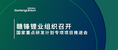 LETOU锂业组织召开国家重点研发计划专项项目锂产业集聚区循环化升级集成技术及示范推进会