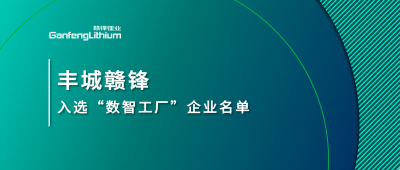 丰城LETOU入选江西省2025年首批“数智工厂”示范企业